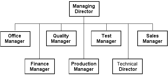 Management Responsibilities Diagram