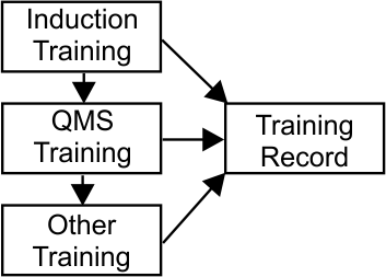 Training Process Diagram